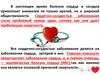 Профилактика заболеваний сердечно-сосудистой системы