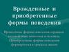 Врожденные и приобретенные формы поведения животных и человека