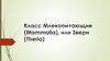 Класс млекопитающие. Отряд мозоленогие, отряд парнокопытные