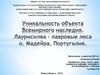 Уникальность объекта Всемирного наследия. Лаурисилва – лавровые леса о. Мадейра, Португалия