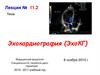 Эхокардиография (ЭхоКГ)