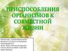 Приспособления организмов к совместной жизни