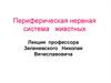 Периферическая нервная система животных