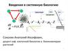 Введение в системную биологию