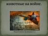 Животные на войне