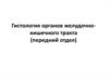 Гистология органов желудочно-кишечного тракта (передний отдел)