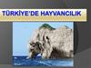Turkiyede Hayvancilik
