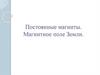 Постоянные магниты. Магнитное поле Земли