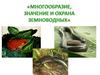 Многообразие, значение и охрана земноводных