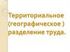 Территориальное (географическое) разделение труда