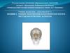 Общие положения анатомии как науки. Методологические аспекты. Анатомия центральной нервной системы (ЦНС)