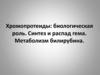Хромопротеиды: биологическая роль. Синтез и распад гема. Метаболизм билирубина