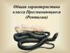 Общая характеристика класса Пресмыкающиеся (Рептилии)