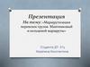 Маршрутизация перевозок грузов. Маятниковый и кольцевой маршруты