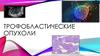 Трофобластические опухоли