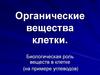 Органические вещества клетки. Биологическая роль веществ в клетке (на примере углеводов)