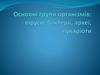Основні групи організмів: віруси, бактерії, археї, еукаріоти. 10 клас