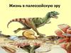Жизнь в палеозойскую эру