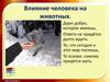 Влияние человека на животных