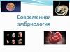 Современная эмбриология