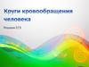 Круги кровообращения человека. ЕГЭ
