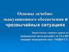 Основы лечебно-эвакуационного обеспечения в чрезвычайных ситуациях