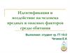 Идентификация и воздействие на человека вредных и опасных факторов среды обитания