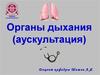 Органы дыхания (аускультация)