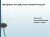 Бисфенол или вред пластиковой посуды