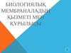 Биологиялық мембраналадың қызметі мен құрылысы
