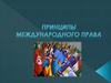 Принципы международного права
