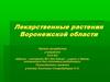 Лекарственные растения Воронежской области