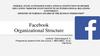 Facebook Organizational Structure