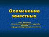 Осеменение животных