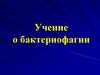 Учение о бактериофагии