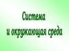 Система и окружающая среда