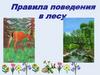 Правила поведения в лесу (в стихах)