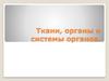 Ткани, органы и системы органов