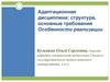Адаптационная дисциплина: структура, основные требования. Особенности реализации