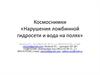 Космоснимки «Нарушения ложбинной гидросети и вода на полях»