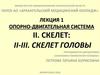 Опорно-двигательная система человека. Скелет головы
