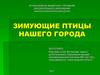 Зимующие птицы нашего города.  Дзержинск, Нижегородской области