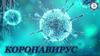 Коронавирус. Общая информация о коронавирусной инфекции 2019 - ncov