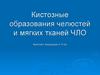 Кистозные образования челюстей и мягких тканей. ЧЛО