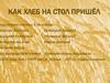 Урок окружающего мира. Как хлеб на стол пришел