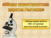 Строение растительной клетки. Лабораторная работа
