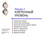 Клеточный уровень. Лекция 2