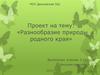 Разнообразие природы родного края - деревня Беловка