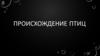 Происхождение птиц