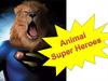 Animal Super Heroes